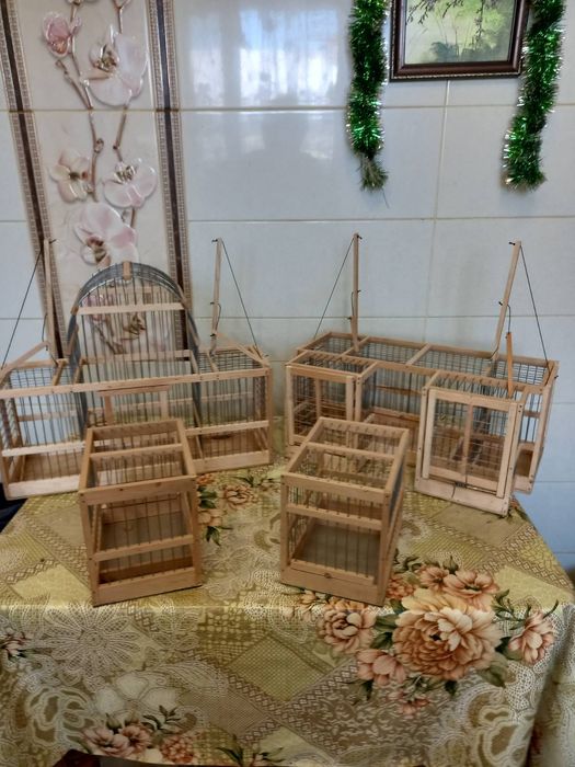 Хлопунчик, хлопунчики, западок,западки для птиц