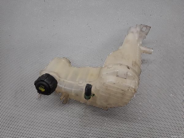 Vaso Expansao / Radiador RENAULT Laguna III (BT0/1)