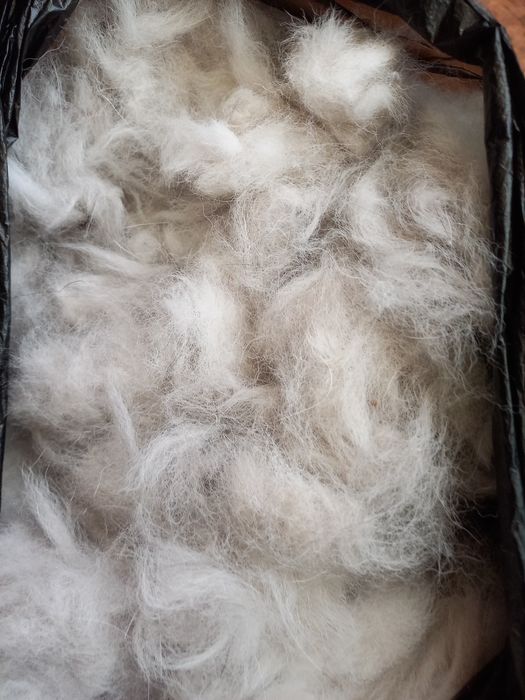 Собача вовна шерсть руда та сіра