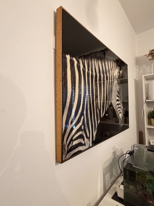 Quadro Zebra.462342082937507843