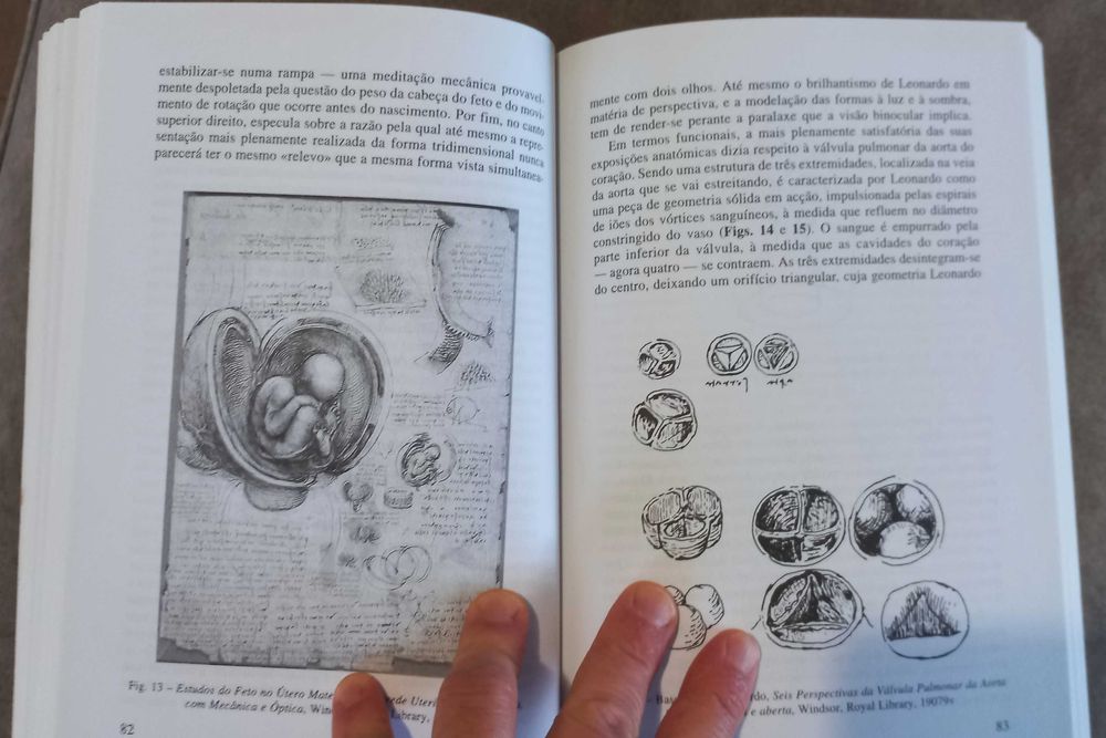 Martin Kemp - Leonardo da Vinci, vida e obra