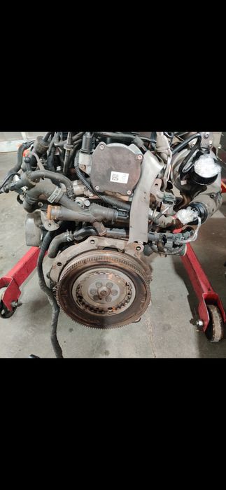 Motor golf 6 TDI
