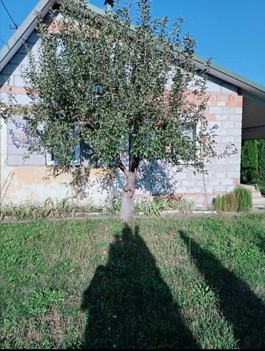 Działka rekreacyjna RODOS Staszów