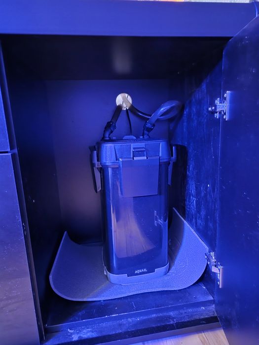 Akwarium z życiem 450l