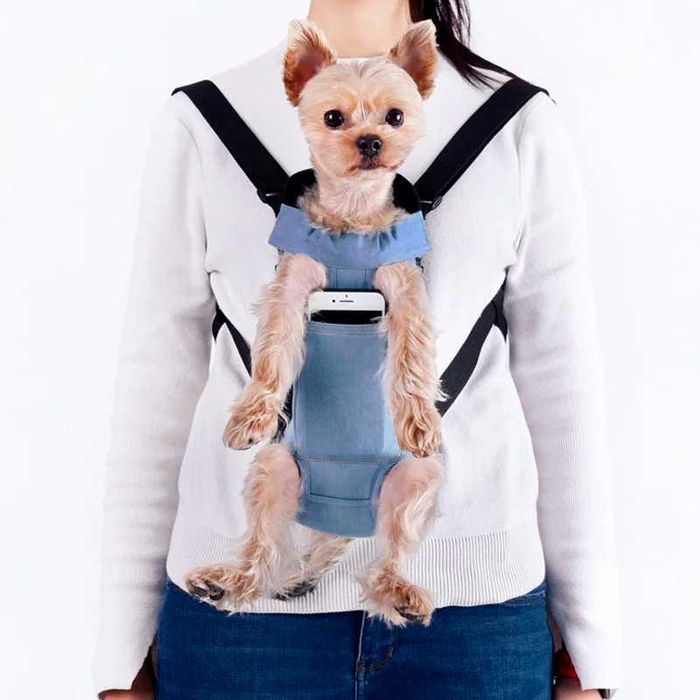 Рюкзак-кенгуру для собак котів переноска для тварин кішок животных кот