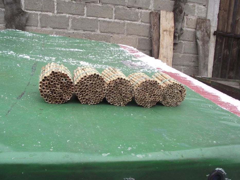 RURKI TRZCINOWE dla pszczół ... trzcina