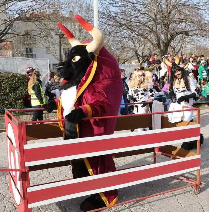 Mascote Exclusiva do Carnaval de Estarreja