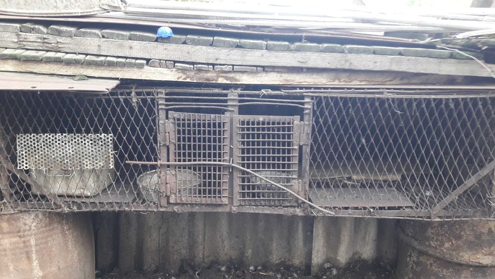 Клетки металические для содержания разних видов животних.