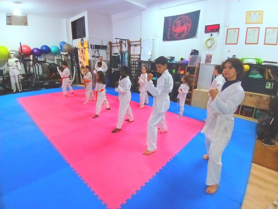 Venha praticar Karaté da JKA no ELITEBOX