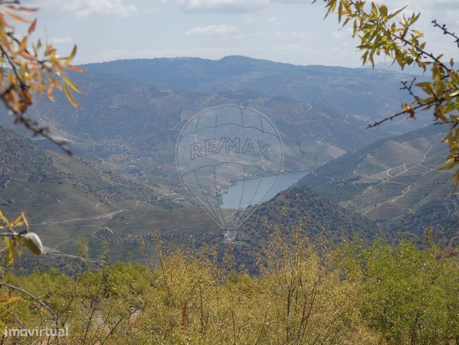 Terreno  para venda — Vale de Figueira, Viseu