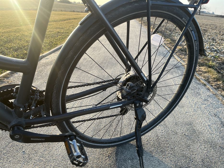 Rower  Rushhour LTD  raleigh 28”