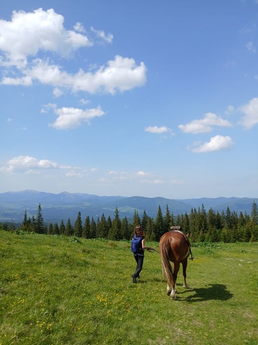 Кінні прогулянки Ворохта Буковель