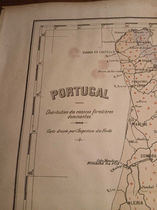 Mapa Portugal - Distribution des essences forestiéres dominantes