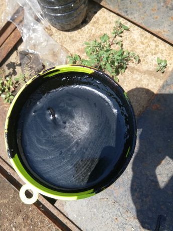 Дьоготь березовий.