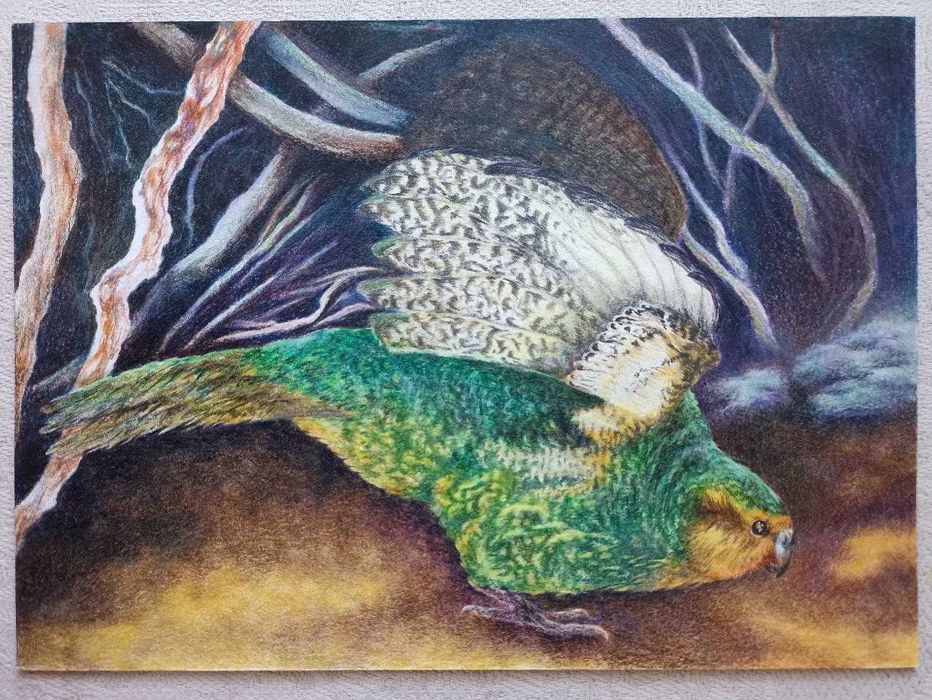 Картины акварельными карандашами, пастелью, акварелью в рамах