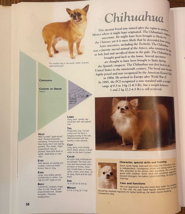 Encyklopedia psów małe rasy Royal Canin język angielski