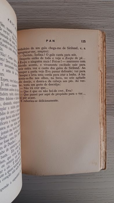 Knut Hamsun, Pan