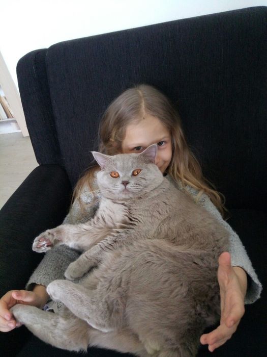 Красивый шотландец (брит.) ждёт в гости подружку. Недорого. Междунар.