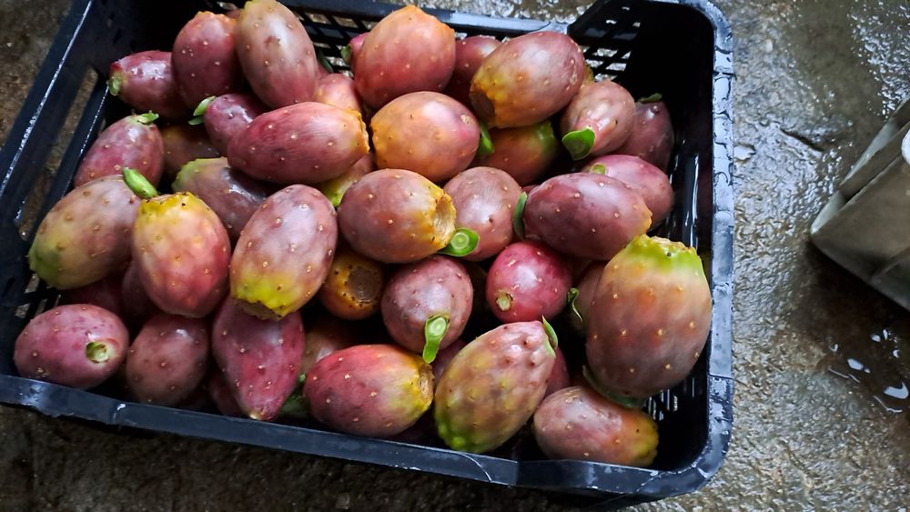 Figos da India para entrega em Chaves
