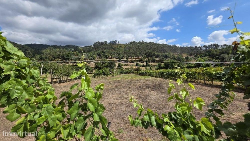 Terreno - Mosteiro — Rossas, Braga