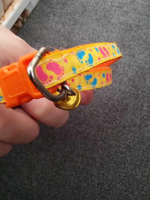 Obroża dla psa lub kota