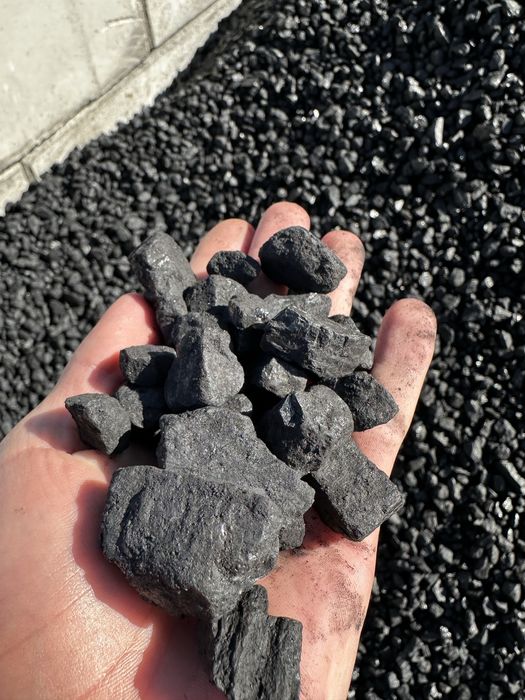 Węgiel eko groszek polski