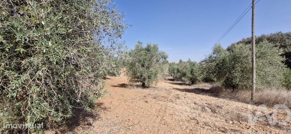 Terreno em Azambujeira e Malaqueijo de 12080,00 m2