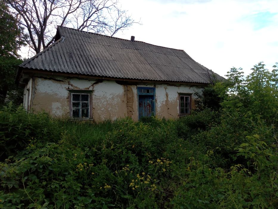 Продається хата в Дмитрушках