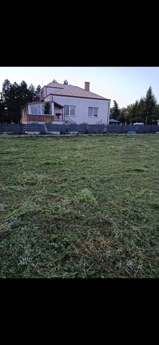 Zdjęcie 8