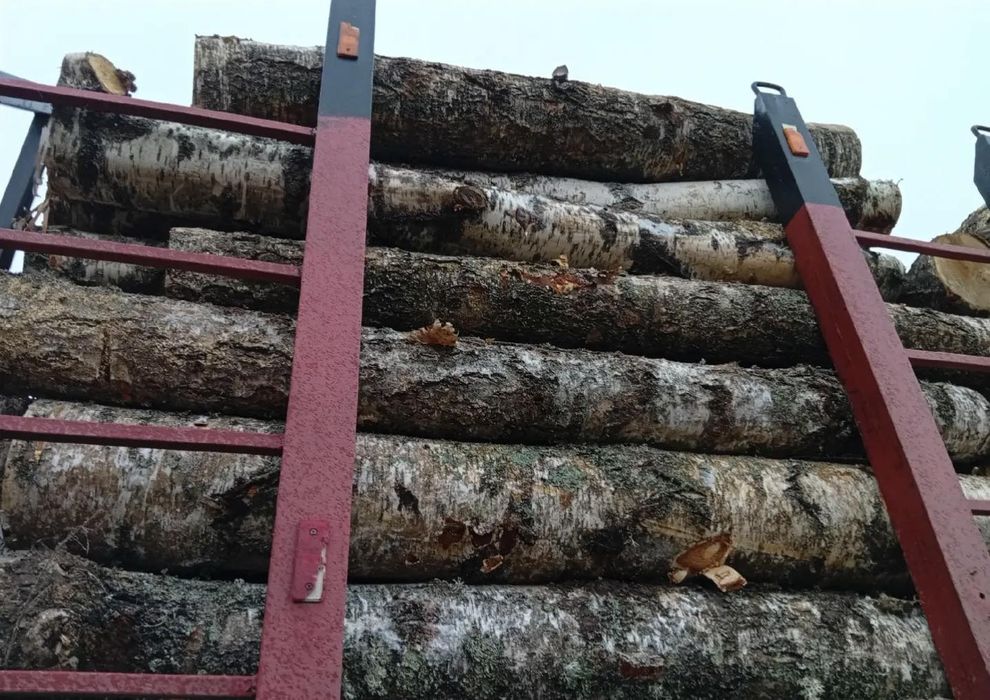 ДРОВА-тепло яке вiдчувается