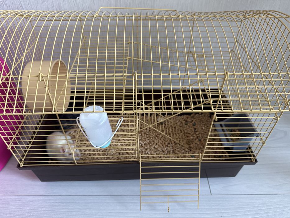 Віддам бесплатно