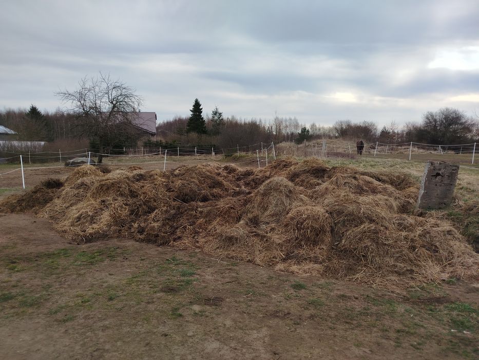 Obronik Koński eko nawóz