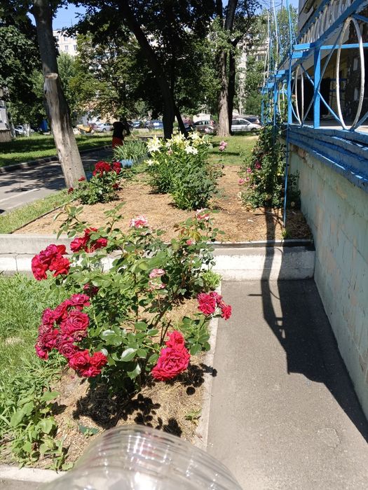 Сдам кімнату у гуртожитку, Деснянський район, вул.Кубанської України, 53А