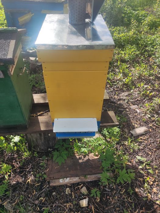 Продам бджлопакати на українську рамку