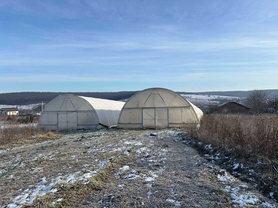 Перспективна ділянка з теплицями для успішного агробізнесу