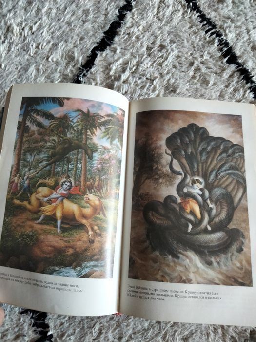 Шри Шримад, "Источник вечного наслаждения"