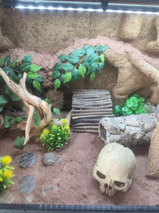 Sprzedam terrarium z całym wyposażeniem