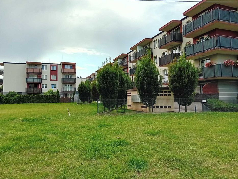 Zdjęcie 5