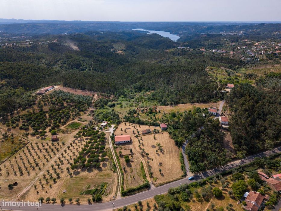 Quintinha com arquitetura aprovada, 7.160 m² e proximidade à Albufeira