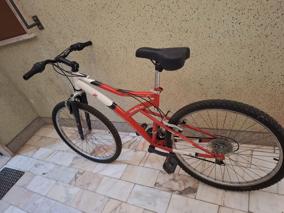 Bicicleta de adulto