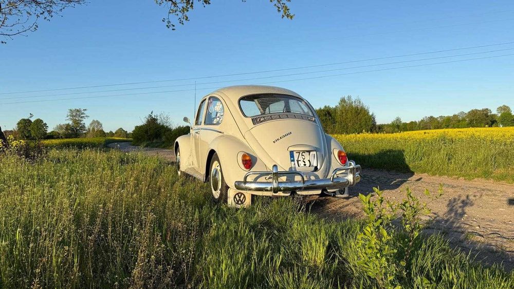 VW Garbus 1966 r.