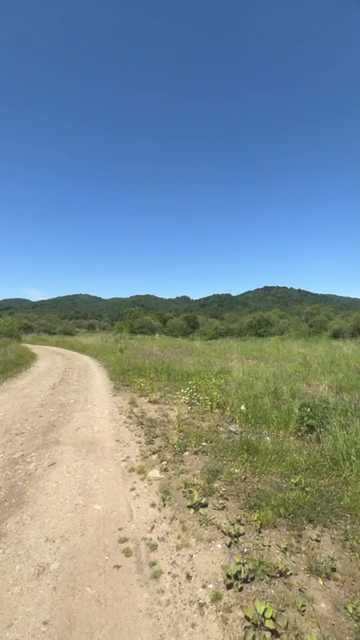 Земля в карпатах 270 $ за сотку  біля т. Київ-Чоп 1.7 Га (садівництво)