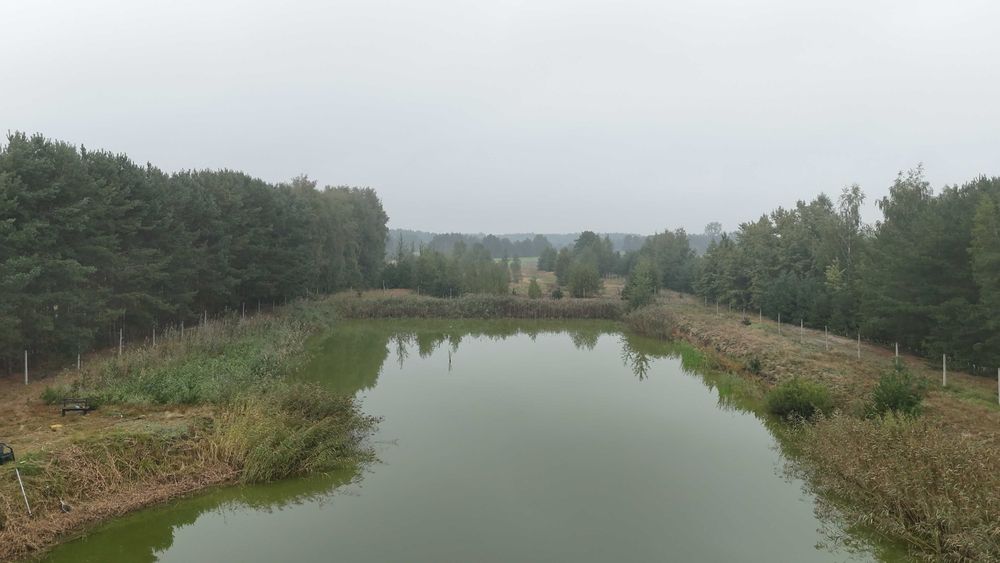 inwestycyjna działka ze stawem