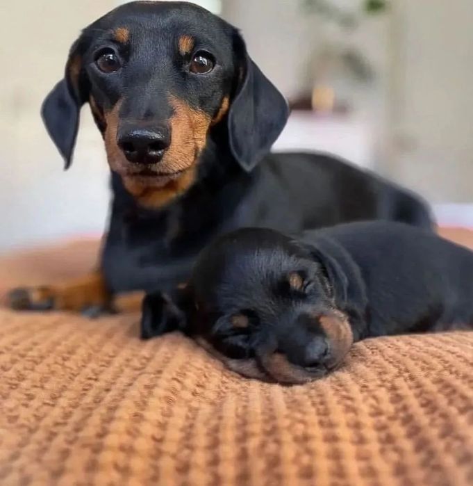 Хлопчики 3 місяці є дві вакцині