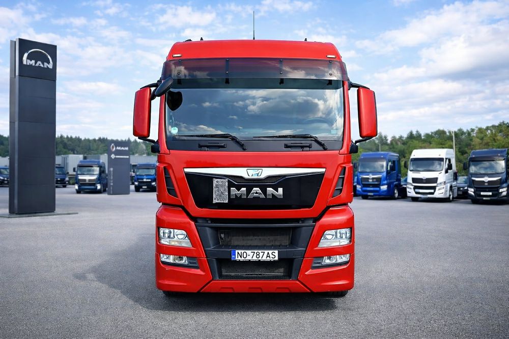 Man TGX do drewna, zrzyny,ogon bez HDS, 6x2