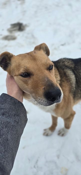 Będę twoim najlepszym przyjacielem