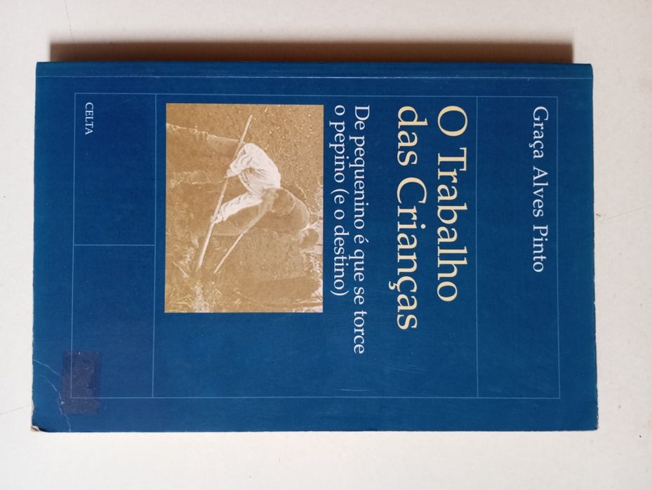 O trabalho das Crianças - Graça Alves Pinto
