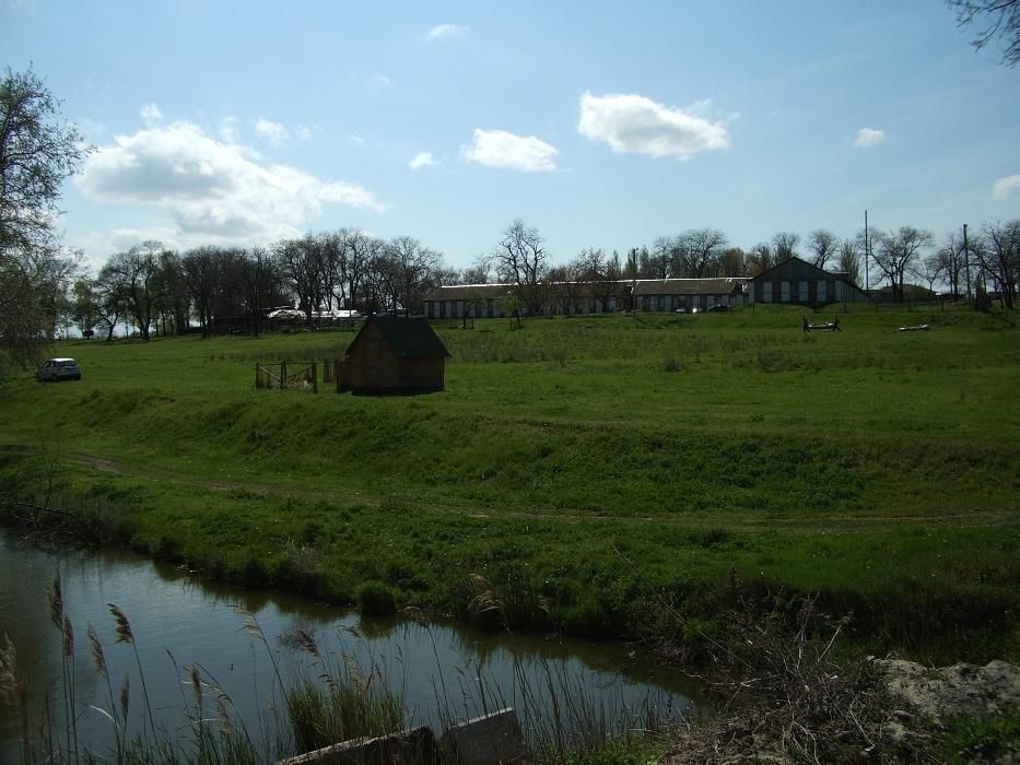 Продаю дом- усадьба!