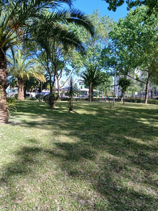 T1 de 80m2 com um arrumo, Porto