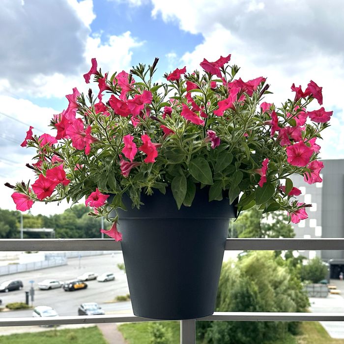 5 doniczek na balkon balustradę